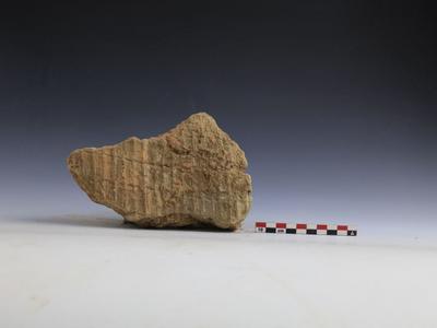 河南安阳发现距今约7800年聚落遗址，现存面积约2.7万平方米