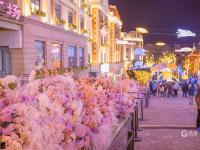 越夜越春天！这里的“花与夜”好惊艳，上镜头