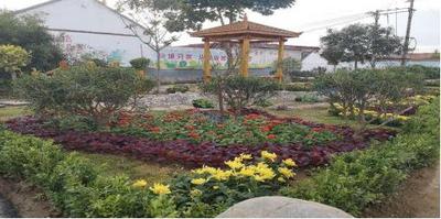 莱西：盘活农村闲置宅基地， 激发乡村振兴新活力