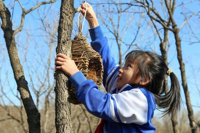 把生态课堂“搬进”林地？第10个“世界野生动植物日”，一群青岛娃这样做