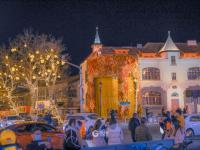 越夜越春天！这里的“花与夜”好惊艳，上镜头