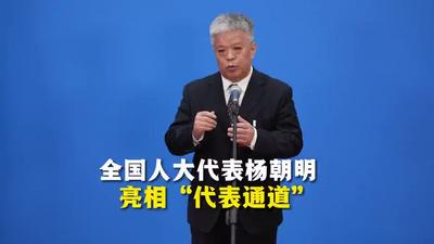全国人大代表杨朝明亮相“代表通道”