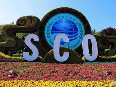 白俄罗斯计划今年6月前完成加入上合组织手续