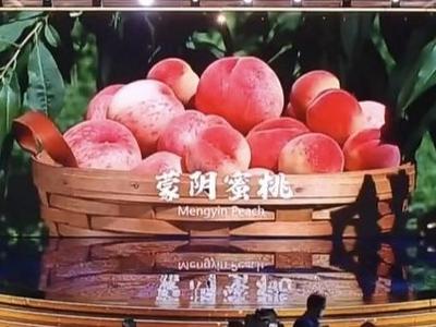 九大元素惊艳山东旅游发展大会 蒙阴绘就诗和远方新画卷