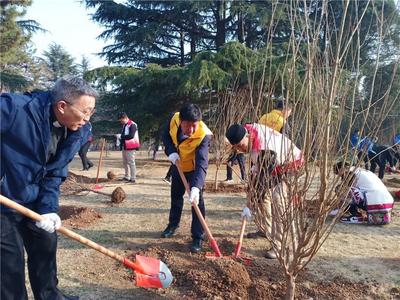 青岛市委统战部联合市南区委统战部开展义务植树活动