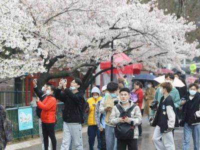 多地将超前体验4月暖意，华北等地“跑步”入春