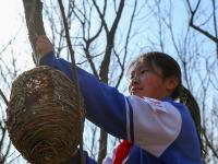 把生态课堂“搬进”林地？第10个“世界野生动植物日”，一群青岛娃这样做