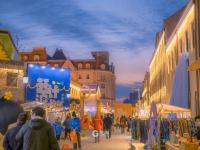 越夜越春天！这里的“花与夜”好惊艳，上镜头