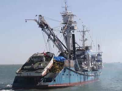 青岛海关助力远洋渔船走向深海，欧盟注册远洋渔船占全国近半