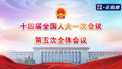 回放｜十四届全国人大一次会议第五次全体会议