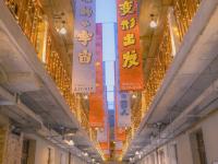 越夜越春天！这里的“花与夜”好惊艳，上镜头