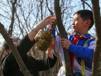 把生态课堂“搬进”林地？第10个“世界野生动植物日”，一群青岛娃这样做