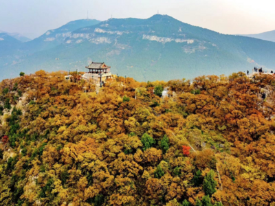 全国在校大学生免费乘济南公交地铁30天，三大景点免费游览