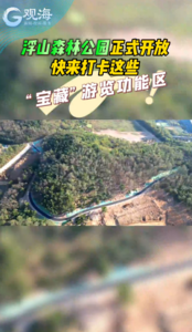 浮山森林公园正式开放！快来打卡这些“宝藏”游览功能区