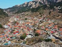 崂山花景实拍：连空气都是香的 | 寻花记 ⑭