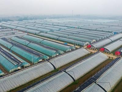 沿着运河看发展丨从大商埠到大都会 看“两河明珠”聊城的高质量发展之变