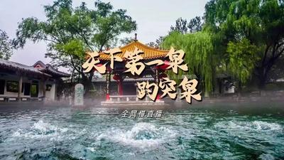 直播 | 带你云打卡“天下第一泉”