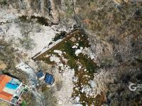 崂山花景实拍：连空气都是香的 | 寻花记 ⑭