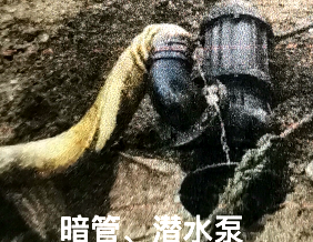 私设排污暗道、水泵？获刑拘役五个月！黄岛法院审结一起污染环境案