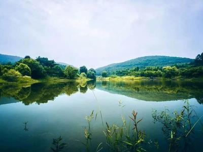 即墨区出台“无废城市”建设实施方案，推进城市绿色转型和高质量发展