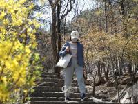 崂山花景实拍：连空气都是香的 | 寻花记 ⑭