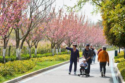 春季仍需警惕这个“隐形杀手”！青岛市疾控中心发布提醒→