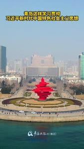 青岛这样学习贯彻习近平新时代中国特色社会主义思想
