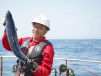 远航24小时实拍：“深蓝1号”的大西洋鲑鱼丰收啦