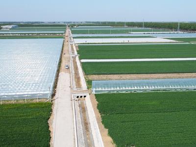 青岛：今年启动创建7个绿色增粮先行示范区，年内建成21.7万亩高标准农田