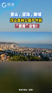 登山、望海、瞰城，浮山森林公园户外游“套餐”全包！