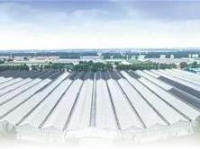 重磅！人民日报“头版+整版”聚焦山东寿光破题农业现代化