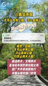 @青岛市民，爬山游园这份提醒请收好