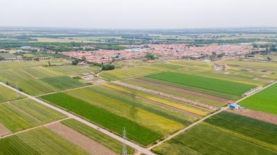 国家发改委：夏粮丰产丰收基础稳固，预计异常气候不会有较大影响