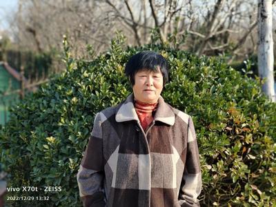 德耀青岛·礼赞模范 | “山东好人”杨美芹：  七旬女英雄火海智救九旬老人