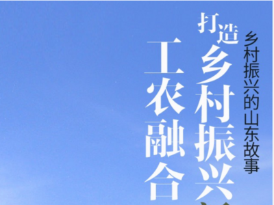 闪电交互海报带你看乡村振兴的山东故事