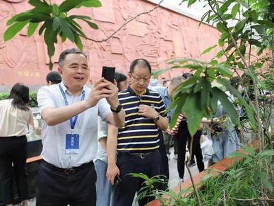 15家副省级城市党报调研采风团走进中医药博物馆，体验岭南医药文化