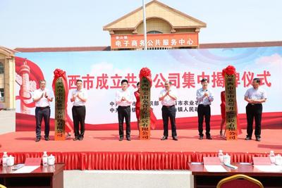 百万扶持资金，邀你参加乡村共富项目创业大赛