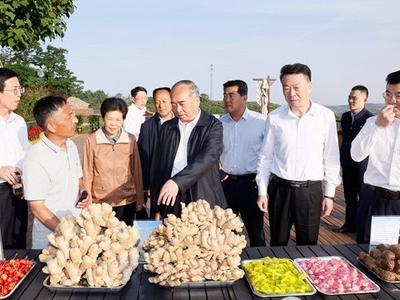 全省乡村振兴齐鲁样板现场推进会议举行