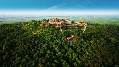 @青岛市民，来老庙会，这些道路临时交通管制