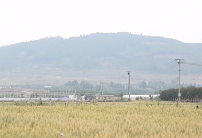 山东高质量建设宜居宜业和美乡村