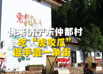村里来了清华大学生，快来济宁东仲都村吃“虎咬瓜”、逛手造一条街！