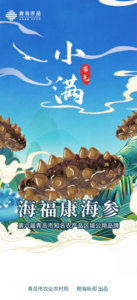 青岛农品·节气绘｜小满：不急不躁，预见丰收