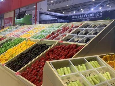 2023中国（青岛）国际辣椒交易博览会开幕，展览面积超2万平方米