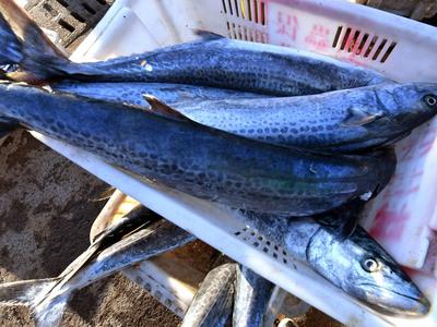 冰箱不是“保险箱”！这四类食物不建议长时间放冰箱