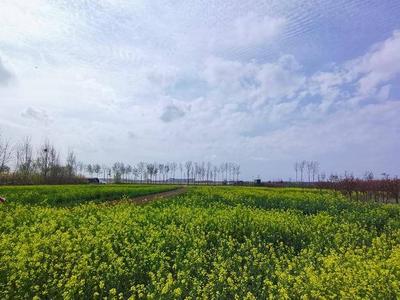 大好机遇遍齐鲁！周乃翔省长推介山东发展