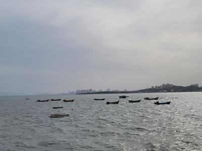 明天青岛海雾持续，沿海较为凉爽！北部地区中午前后天气炎热