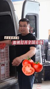 崔家集西红柿产业缩影：12年前，这个85后就把西红柿卖到了北京！