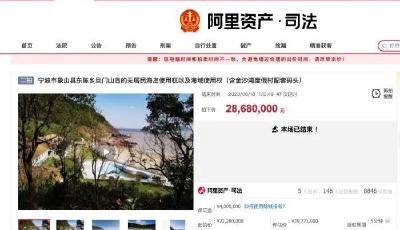 2868万！中国第一无人岛被他拍下了，前任岛主已成老赖