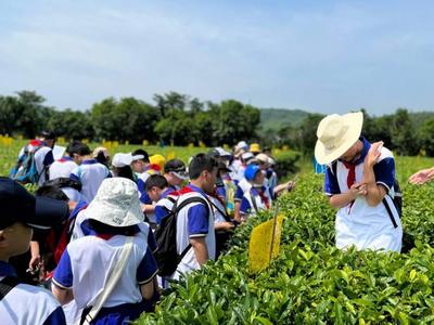 研学市场乱象调查：动辄数万元，有的还不如旅游团