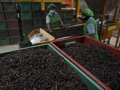 避开美元，伊朗和斯里兰卡“以茶换油”
